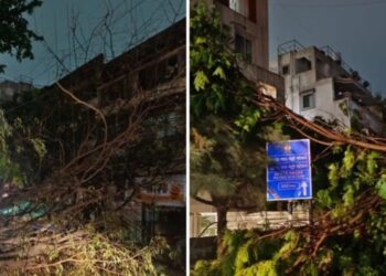 मुसळधार पाऊस आणि झाडे पडल्याने पुण्यातील अनेक भागात वीजपुरवठा खंडित…