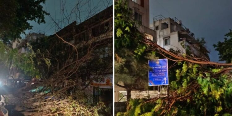 मुसळधार पाऊस आणि झाडे पडल्याने पुण्यातील अनेक भागात वीजपुरवठा खंडित…