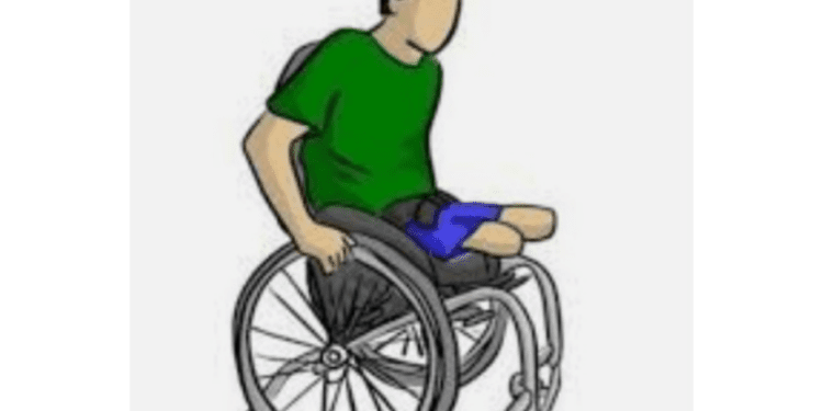 दिव्यांग आणि पालात राहणाऱ्यांसाठी स्वतंत्र घरकुल योजना तयार करावी – मुख्यमंत्री