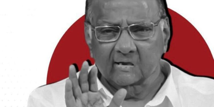 शरद पवारांनी केला मोठा खुलासा,जुन्नरची जागा कोण लढवणार ??