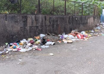 जनवाडी येथील पाच पांडव सोसायटी  मध्ये  अनेक ठिकाणी धोकेदायक खड्डे, वाऱ्याने पडलेली झाडे सुद्धा अनेक आठवडे रस्त्यावर, रस्त्यावरील राडाराडा  अनेक महिन्यांपासून रस्त्यावरच,  पुणे महानगरपालिकेचे अधिकारी आहे तरी कुठे    ???