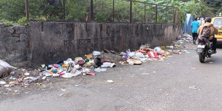 जनवाडी येथील पाच पांडव सोसायटी  मध्ये  अनेक ठिकाणी धोकेदायक खड्डे, वाऱ्याने पडलेली झाडे सुद्धा अनेक आठवडे रस्त्यावर, रस्त्यावरील राडाराडा  अनेक महिन्यांपासून रस्त्यावरच,  पुणे महानगरपालिकेचे अधिकारी आहे तरी कुठे    ???