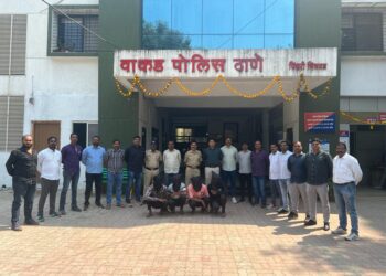 वाकड पोलिसांची मोठी कारवाई व्यापाऱ्याला लुटणाऱ्या टोळीला अटक,  ११ लाखाची रोकड हस्तगत