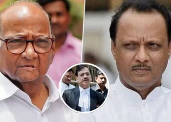 उज्ज्वल निकम यांचं मोठं भाकित महाराष्ट्रातील सत्ता संघर्षावर..