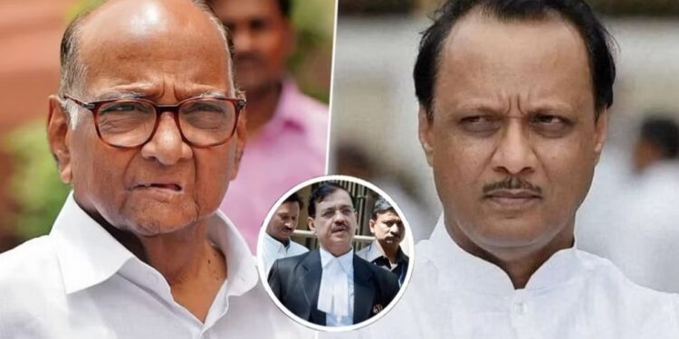 उज्ज्वल निकम यांचं मोठं भाकित महाराष्ट्रातील सत्ता संघर्षावर..