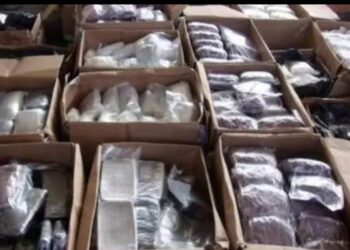 अमली पदार्थांच्‍या विळख्‍यात अडकलेले पुणे ! ऑक्‍टोबर २०२३पर्यंत पुणे येथे १४ कोटी रुपयांचे अमली पदार्थ जप्‍त आणि ५०४ आरोपींना अटक..