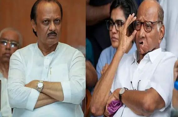 निर्णय होईपर्यंत हे चिन्ह आम्हाला द्या, गोठवू नका,शरद पवार गटाची मागणी.राष्ट्रवादीचे चिन्ह गोठवलं जाणार ?