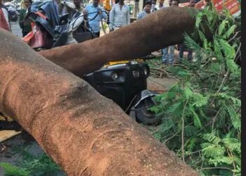 दशभुजा गणपती मंदिराजवळ रिक्षावर झाड पडून 4 जण जखमी