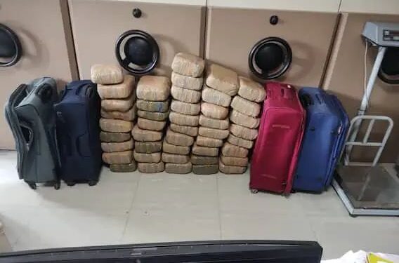 पुणे रेल्वे स्थानकावरुन 90 किलो गांजा जप्त,कस्टम विभागाची कारवाई.. कोणार्क एक्सप्रेसमध्ये गांजाची तस्करी.