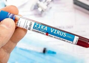 पुण्यात झिकाचा रुग्ण आढळला, आरोग्य यंत्रणा अलर्ट मोडवर !!