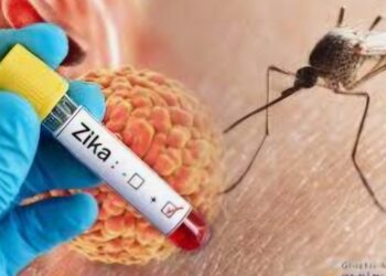 पुण्यात झिका वायरस शिरकाव २ रुग्ण आढळले .. दोघांना ताप व सौम्य लक्षणे ..