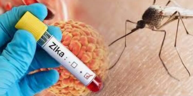 पुण्यात झिका वायरस शिरकाव २ रुग्ण आढळले .. दोघांना ताप व सौम्य लक्षणे ..