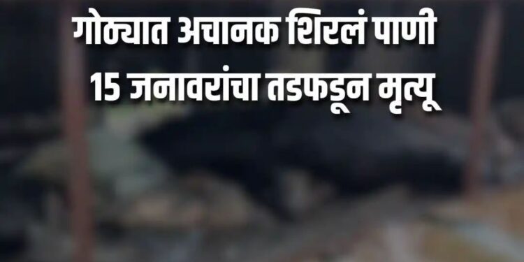 वारजे इथं एकाच गोठ्यातील १५ जनावरं मृत्यूमुखी पडल्याची…शेतकऱ्याला मोठा धक्का