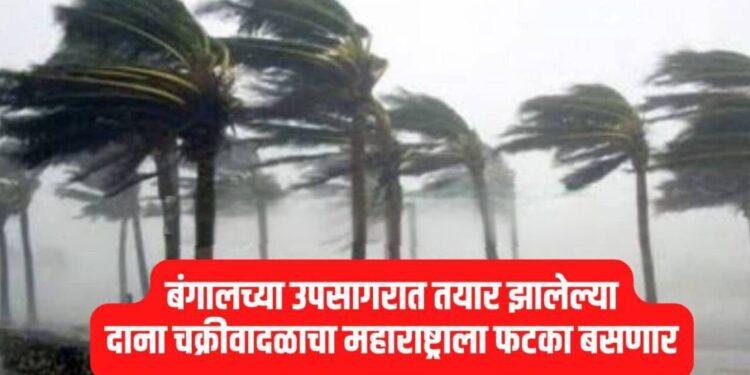हवामानात मोठा बदल, बंगालच्या उपसागरात तयार झालेल्या दाना चक्रीवादळाचा महाराष्ट्राला फटका बसणार, राज्यातील ‘या’ जिल्ह्यांमध्ये बरसणार सावट