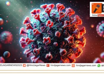 पुण्यात २४ तासांत जीबी सिंड्रोमचा एकही रुग्ण नाही, रुग्णसंख्या १३० वर स्थिर काहिसा दिलासा!!!