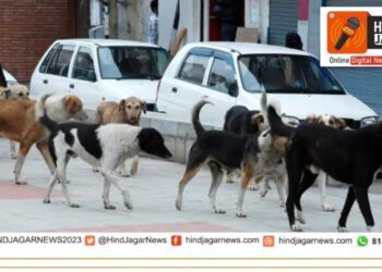 पुणे-पिंपरीत 3 वर्षांत 80,000 लोकांना भटक्या कुत्र्यांचा चावा..विधान परिषदेत आमदार अमित गोरखे यांनी उपस्थित केला मुद्दा..